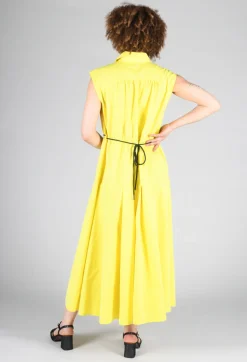 Beatrice B Dresses^A-Line Dress in Sunflower