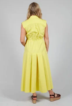 Beatrice B Dresses^A-Line Dress in Sunflower