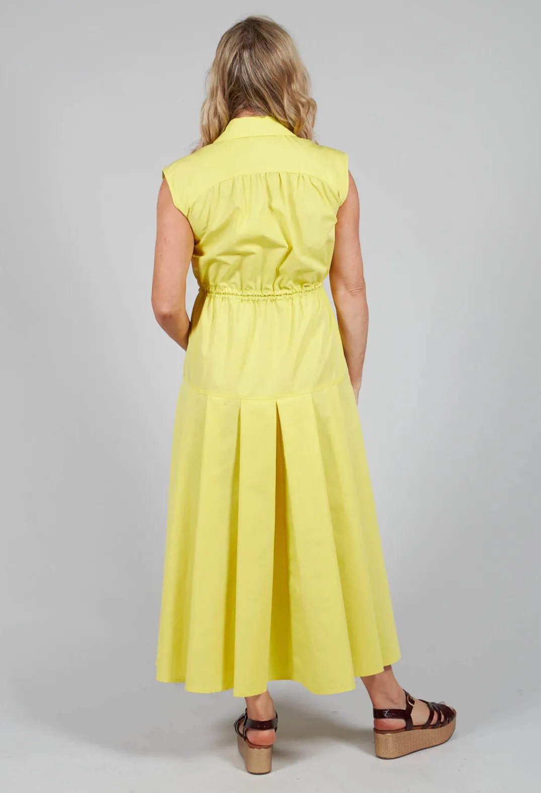 Beatrice B Dresses^A-Line Dress in Sunflower