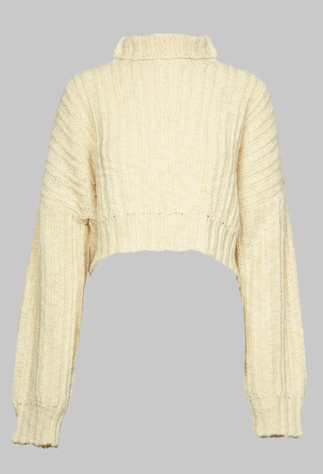 Malloni Jumpers^Cactus Tricot Chunky Knit in Latte