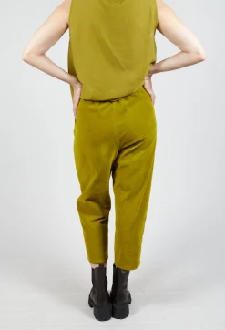 Apuntob Trousers^Corduroy Trousers in Grass