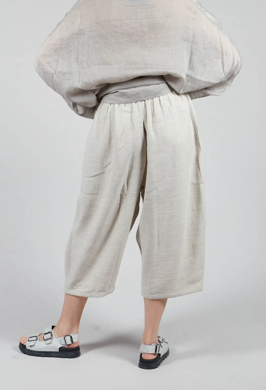 Moyuru Trousers^Cropped Wide Leg Trouser in Beige
