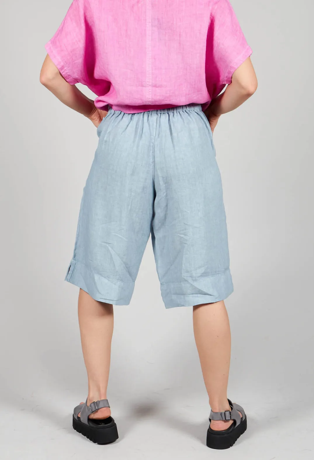 Elemente Clemente Shorts^Linen Tamal Shorts in Blue