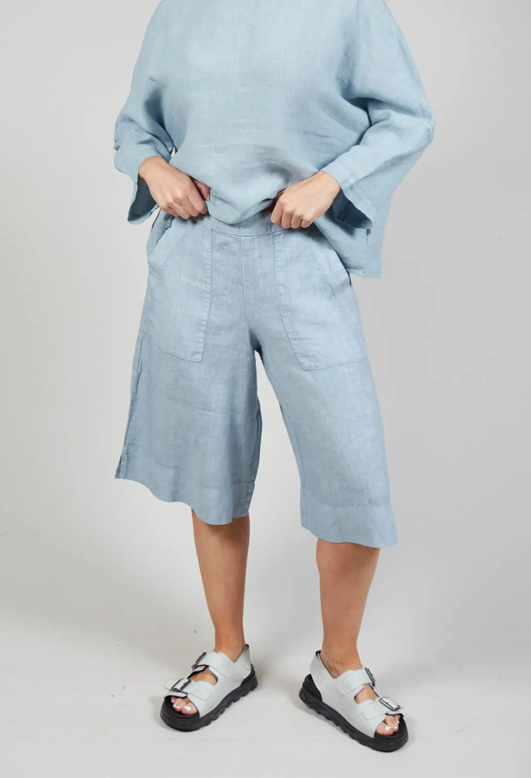 Elemente Clemente Shorts^Linen Tamal Shorts in Blue