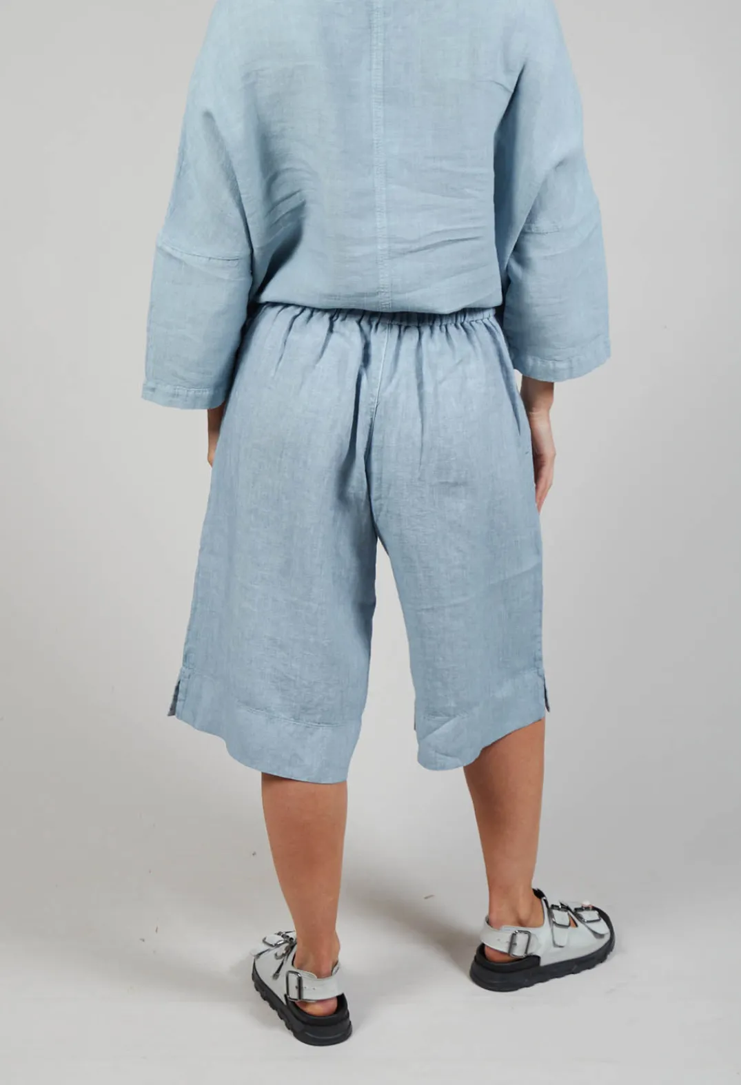 Elemente Clemente Shorts^Linen Tamal Shorts in Blue