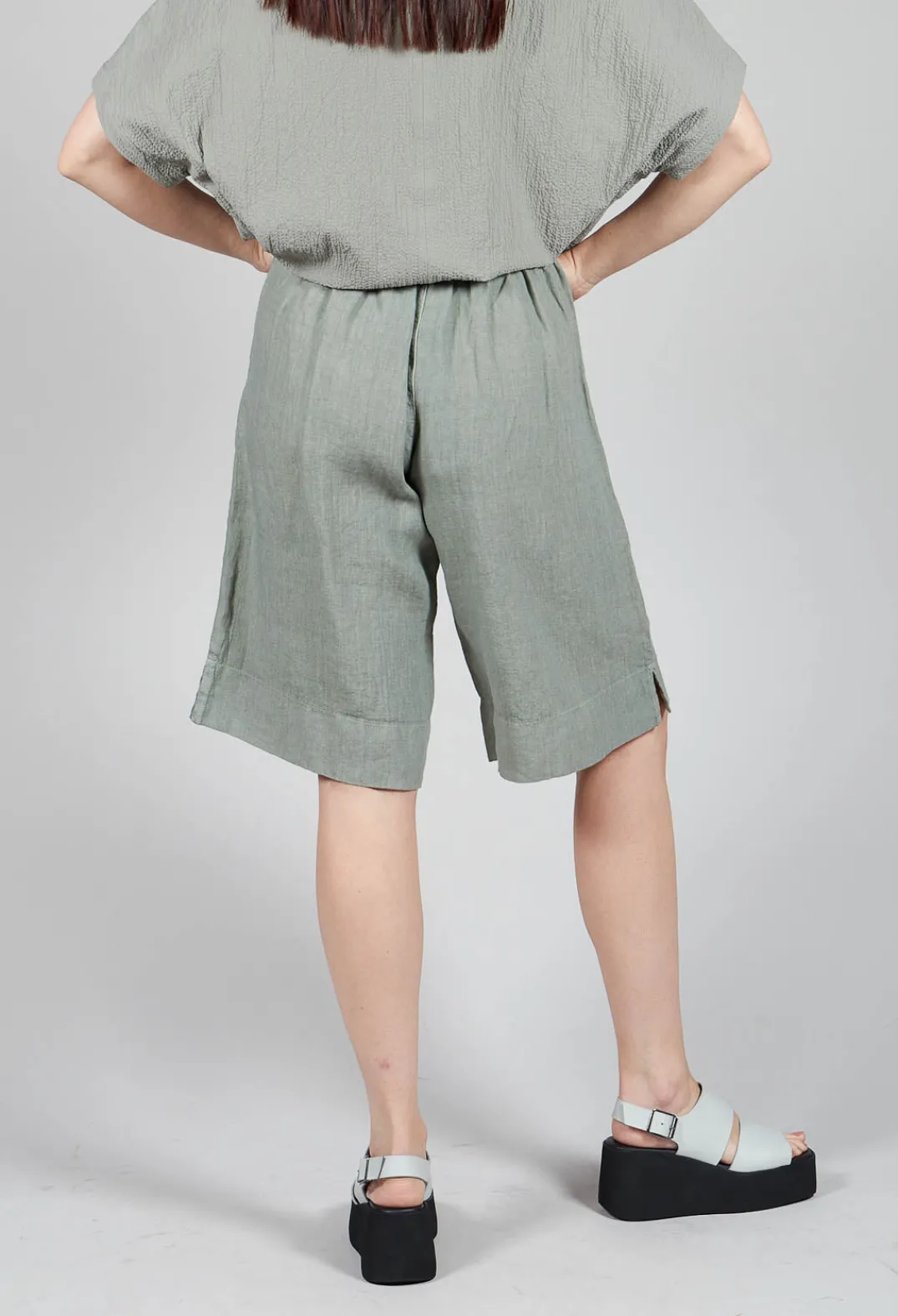 Elemente Clemente Shorts^Shorts Tamal in Eucalyptus