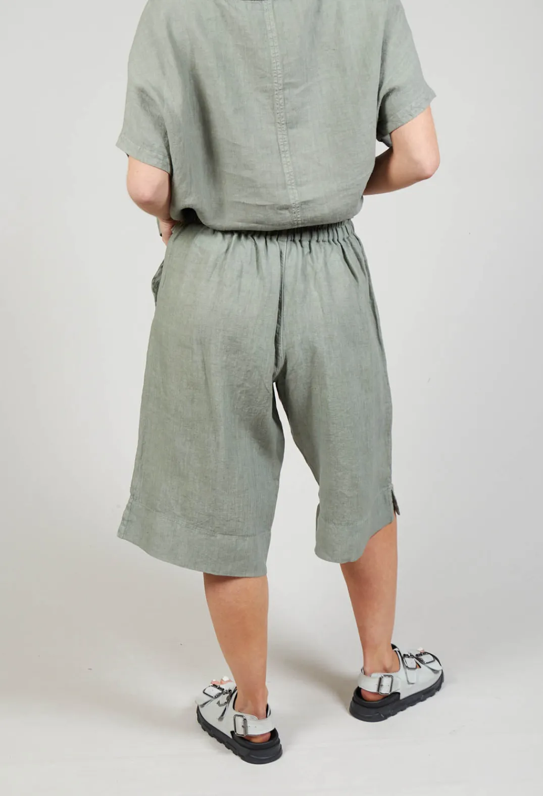 Elemente Clemente Shorts^Shorts Tamal in Eucalyptus