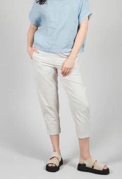 Elemente Clemente Trousers^Slim Fit Geisha Pants in Greige