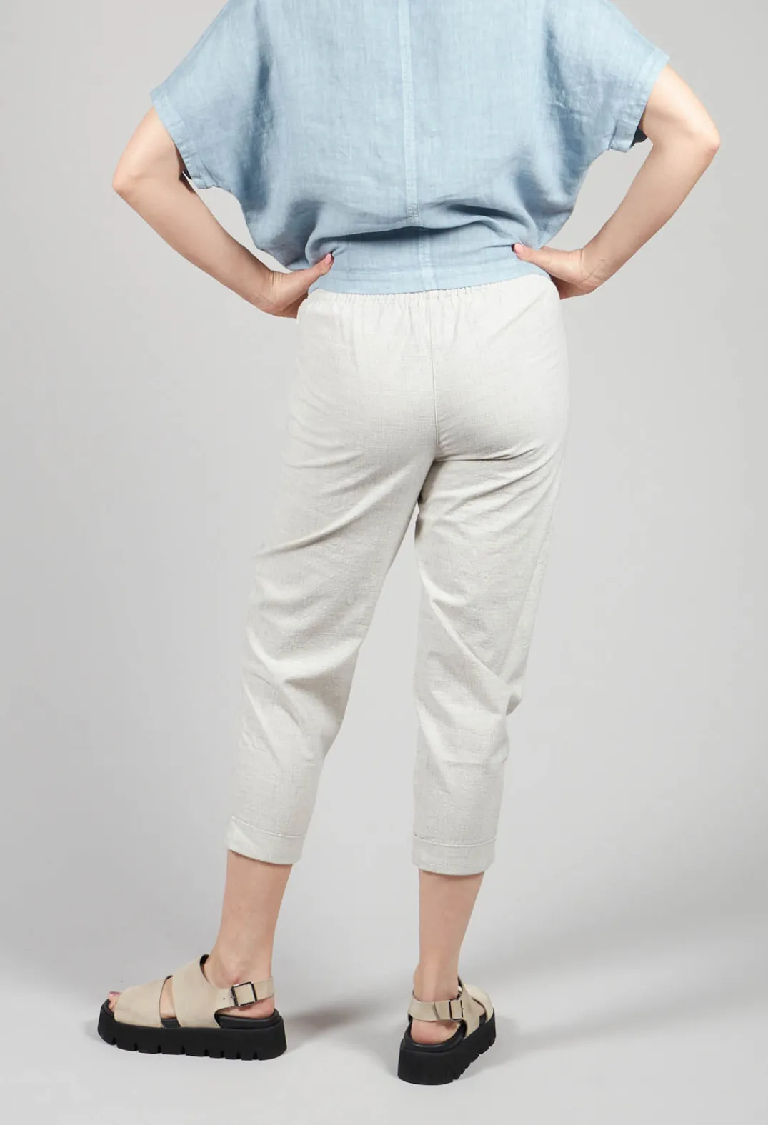 Elemente Clemente Trousers^Slim Fit Geisha Pants in Greige