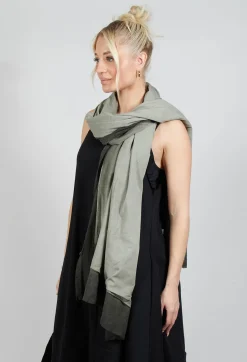 Pluslavie Scarves^Tulle Scarf in Olive